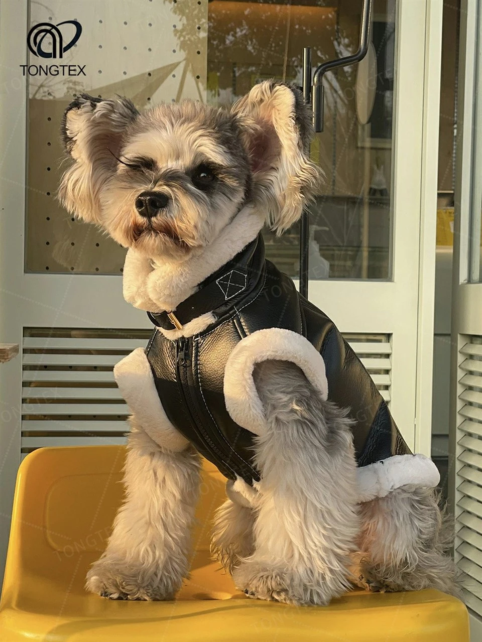 Dog Stylish Sweatshirt factory